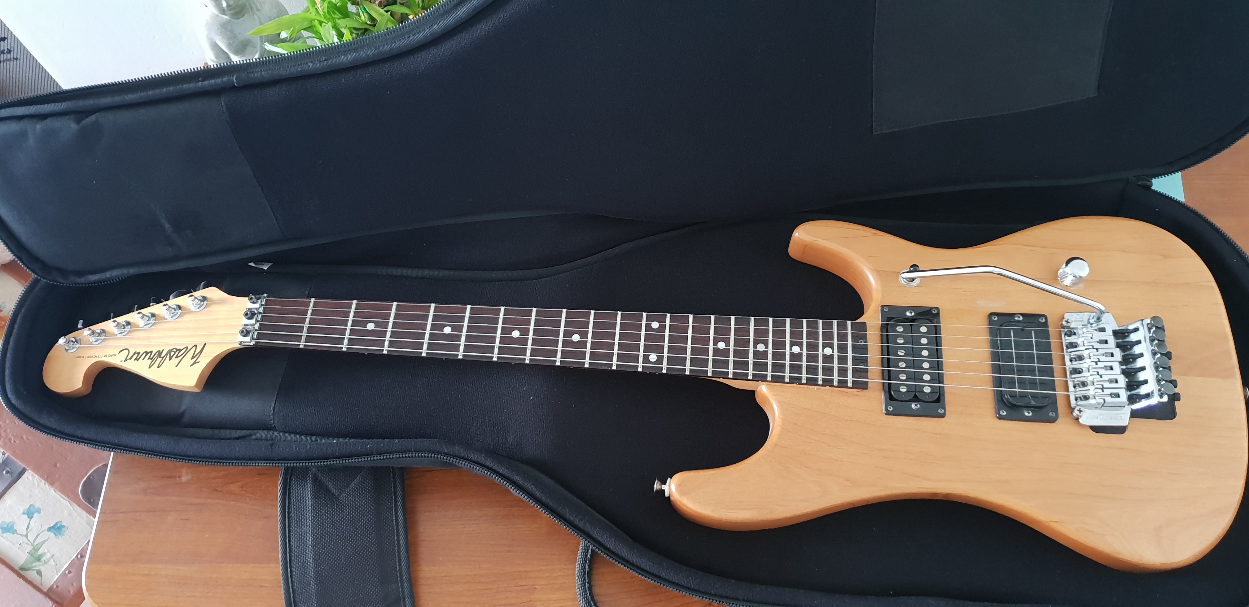 N2 Washburn N2 Audiofanzine