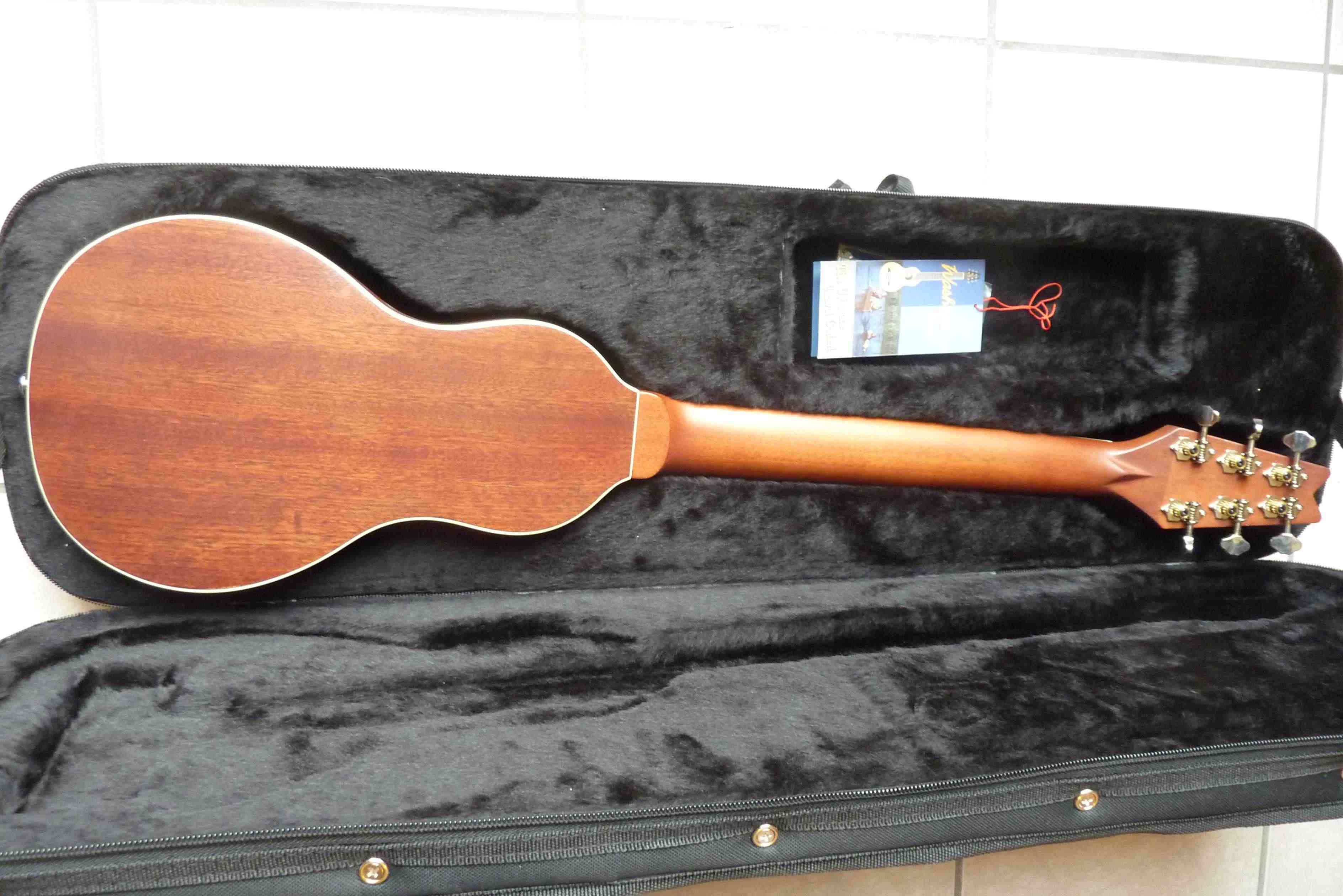 Washburn rover travel guitar