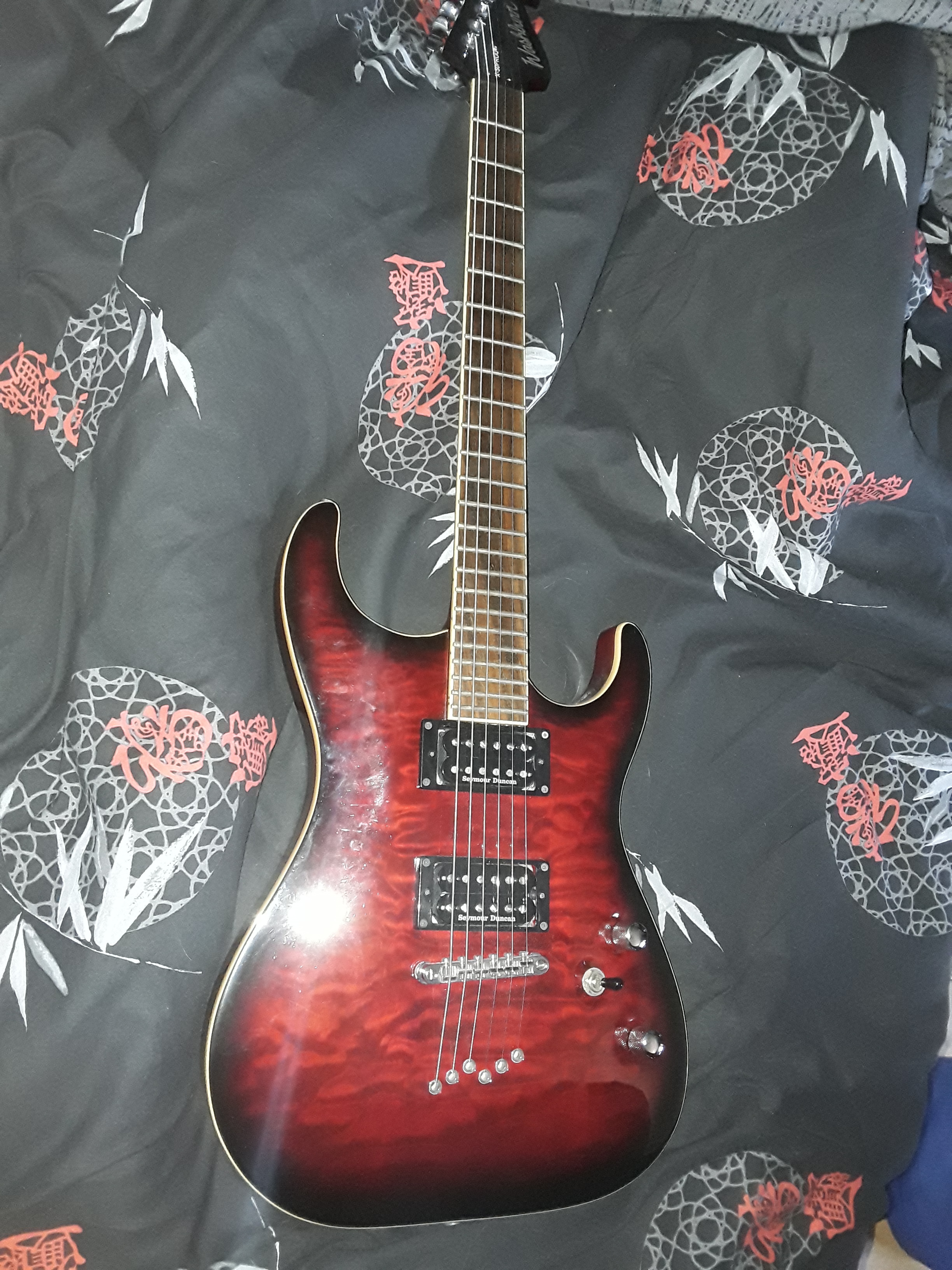 Washburn X-50profe EMG18v仕様-