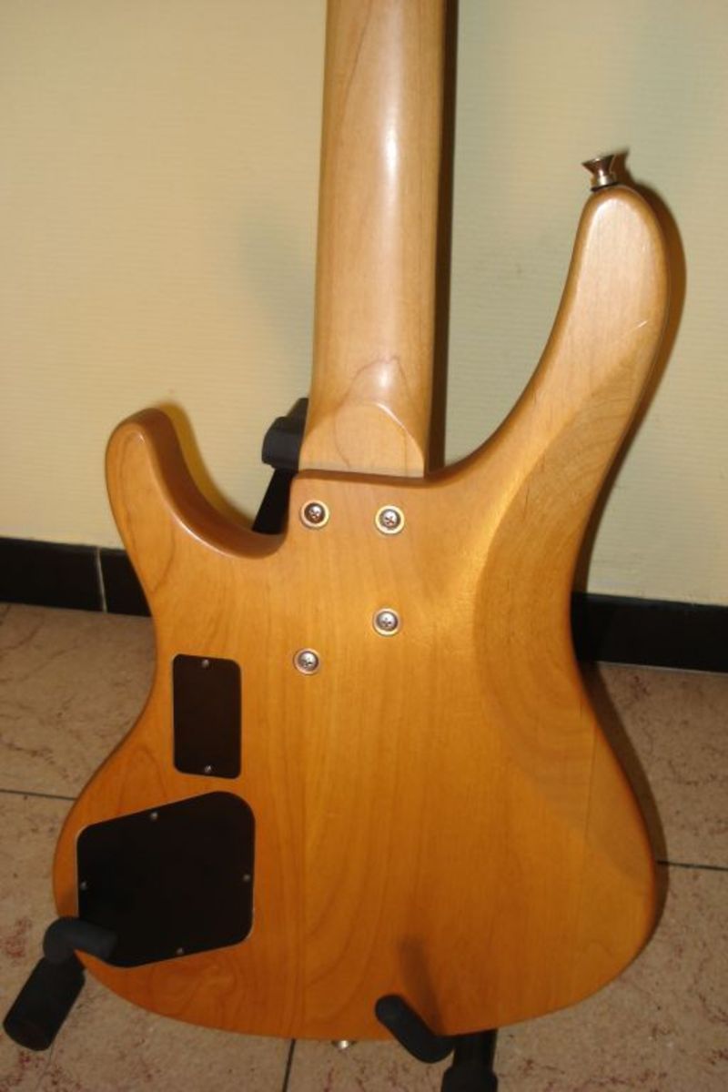 Washburn XB500 image (22695) Audiofanzine