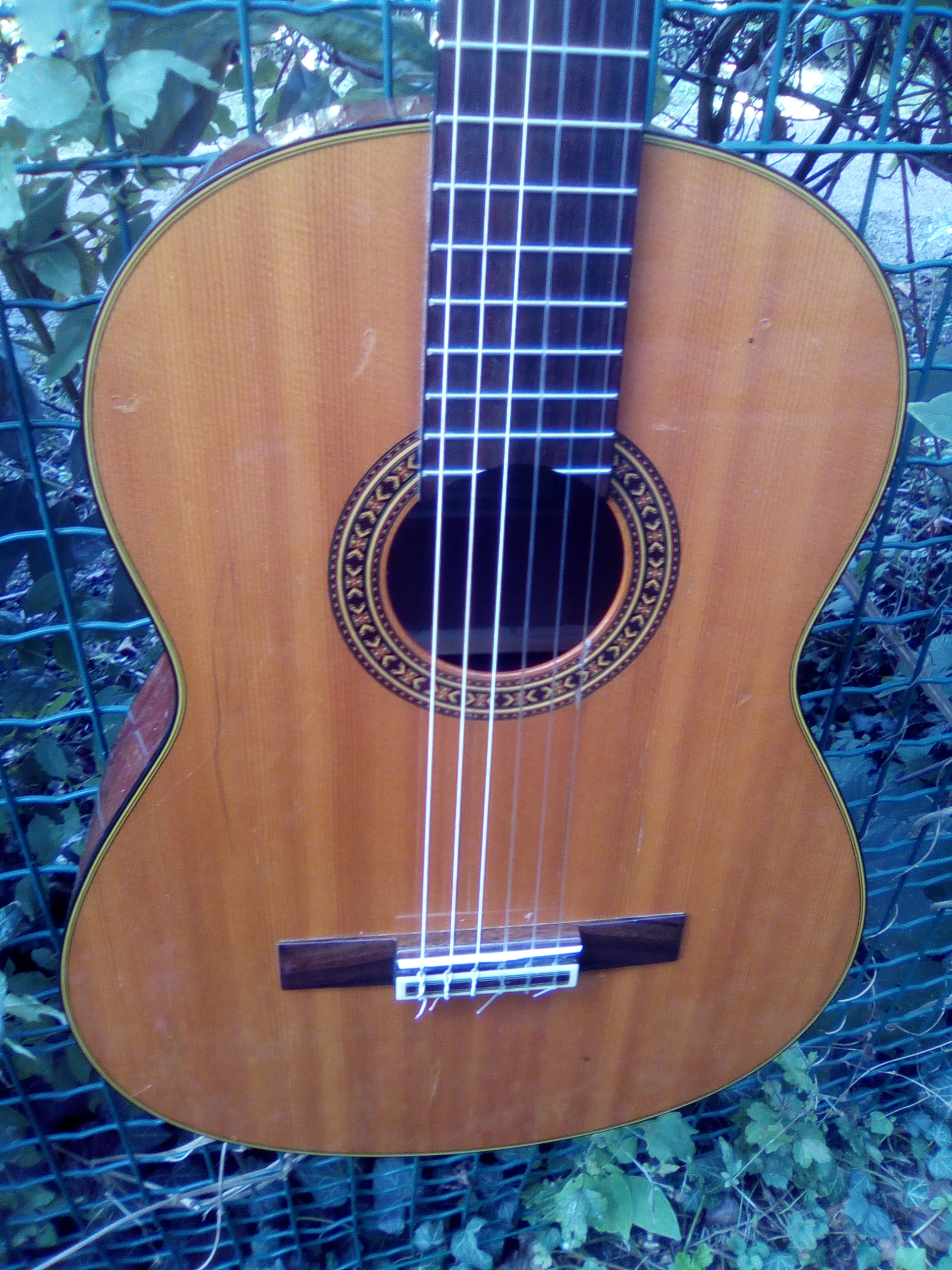CG110A Yamaha CG110A Audiofanzine