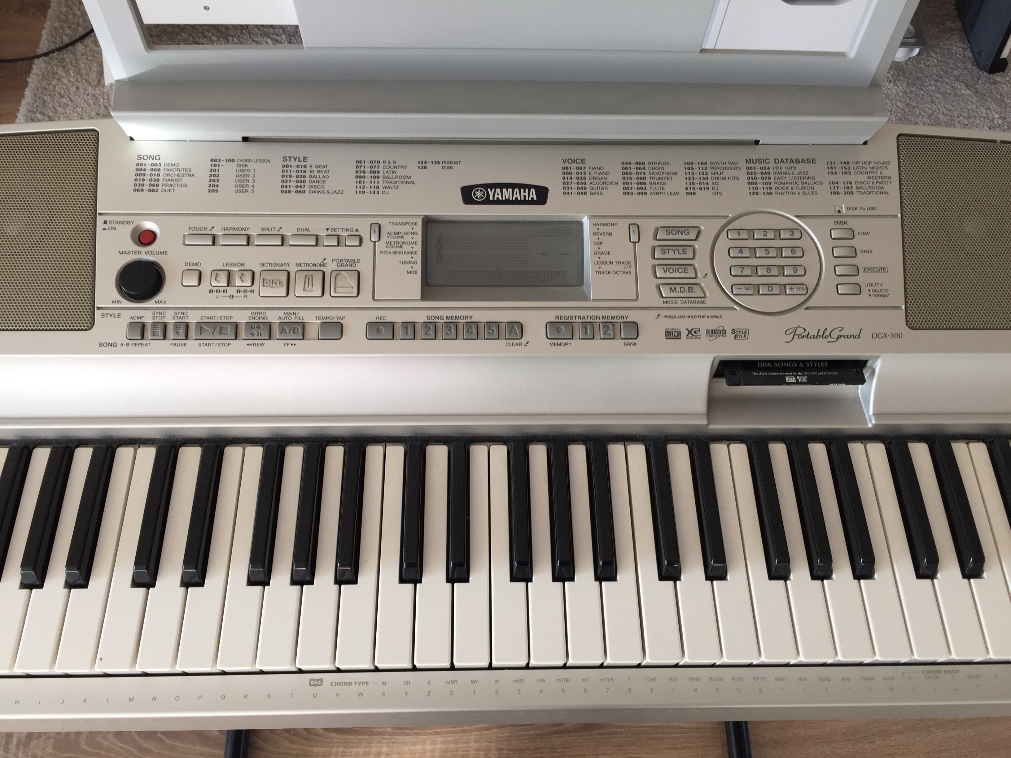yamaha-dgx-300-image-1598798-audiofanzine