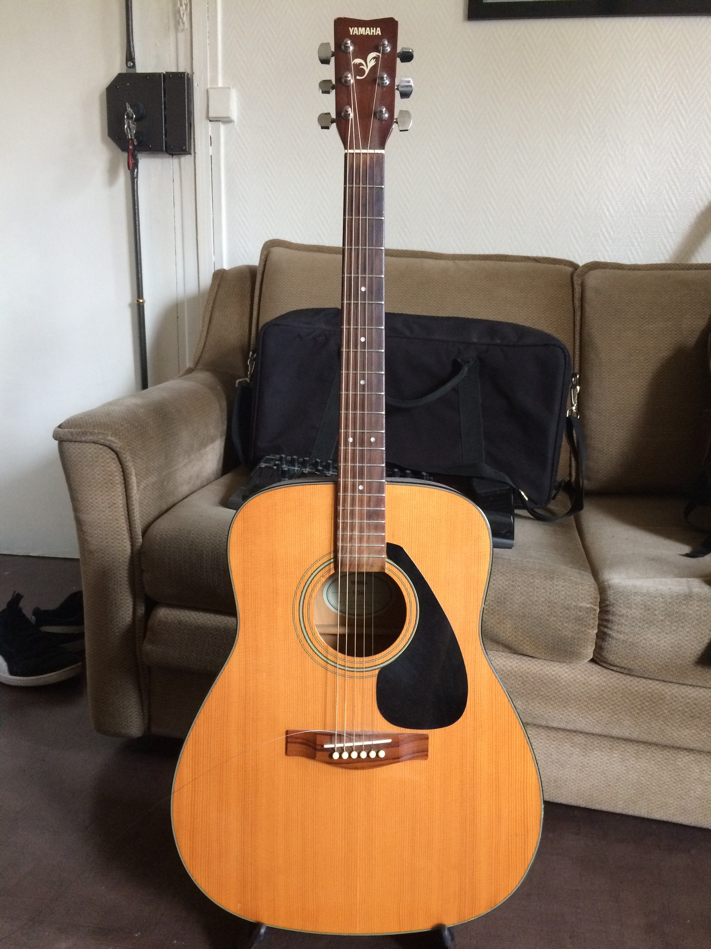 guild d55 acoustic guitar