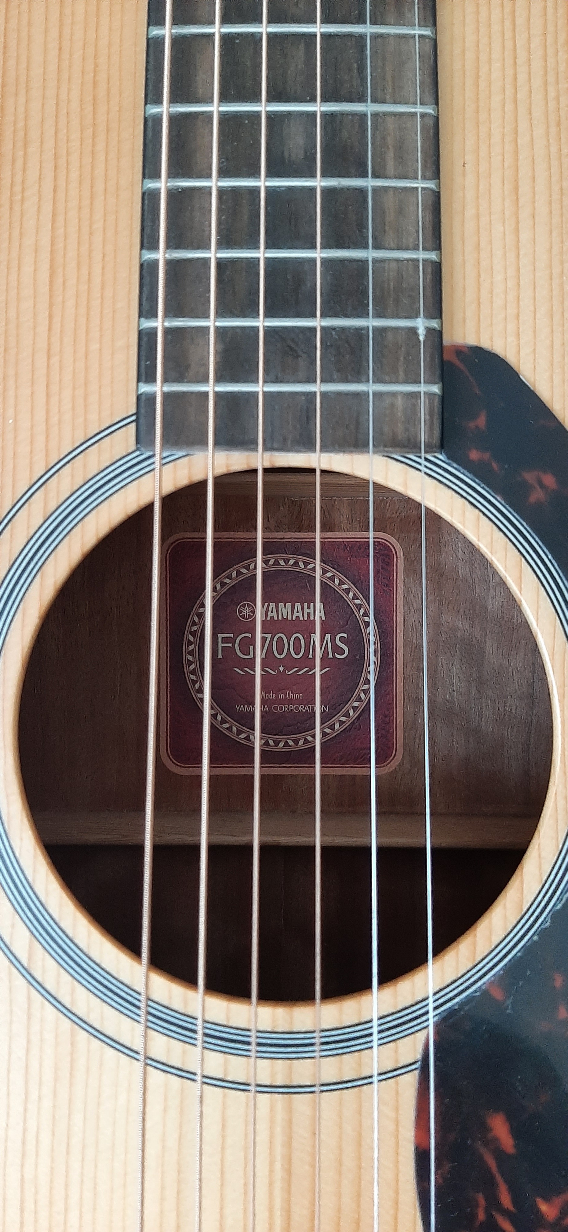 yamaha fg700ms strings