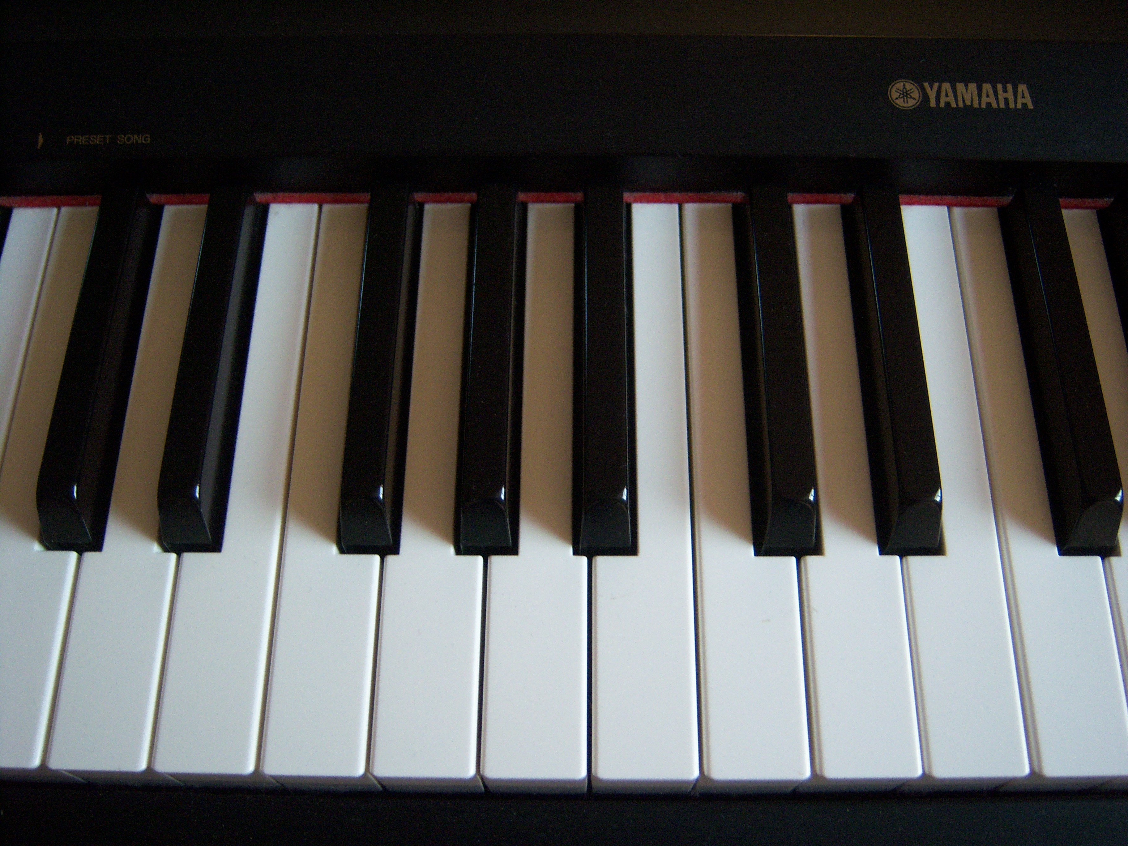 Photo Yamaha P60 Yamaha P60 (47386) (678934) Audiofanzine