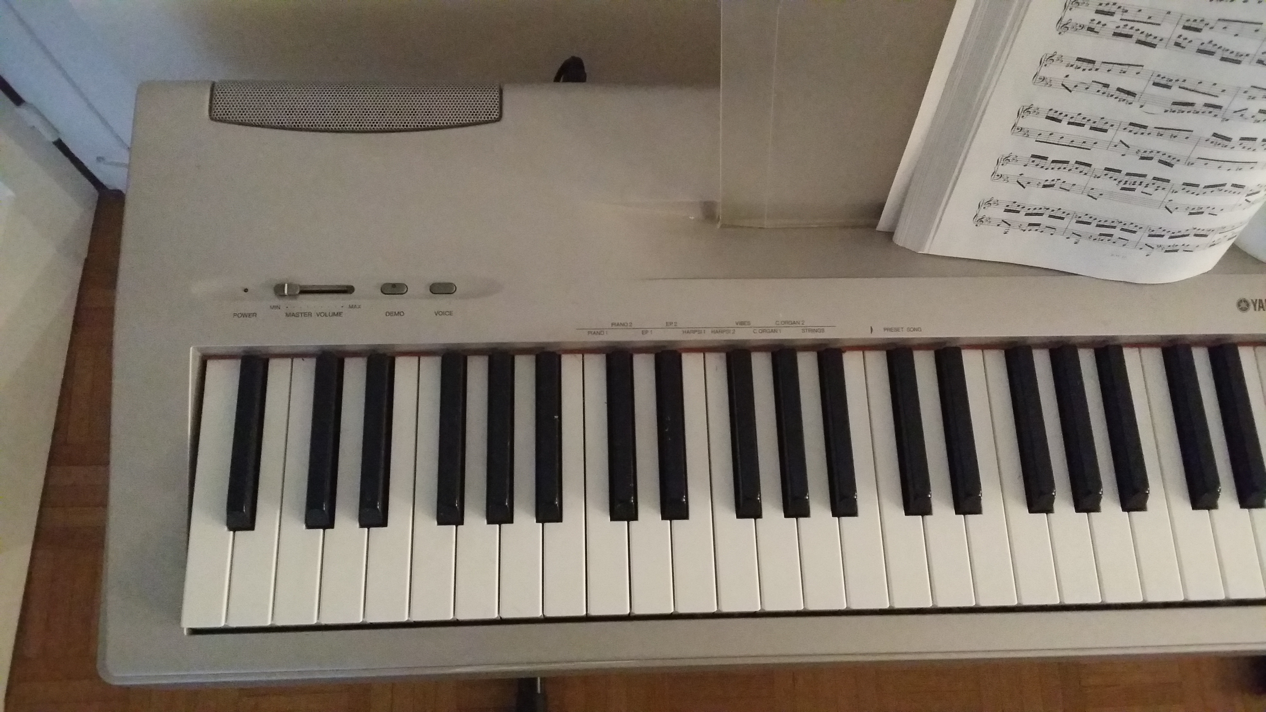 Photo Yamaha P60 Yamaha P60 (3221) (982187) Audiofanzine
