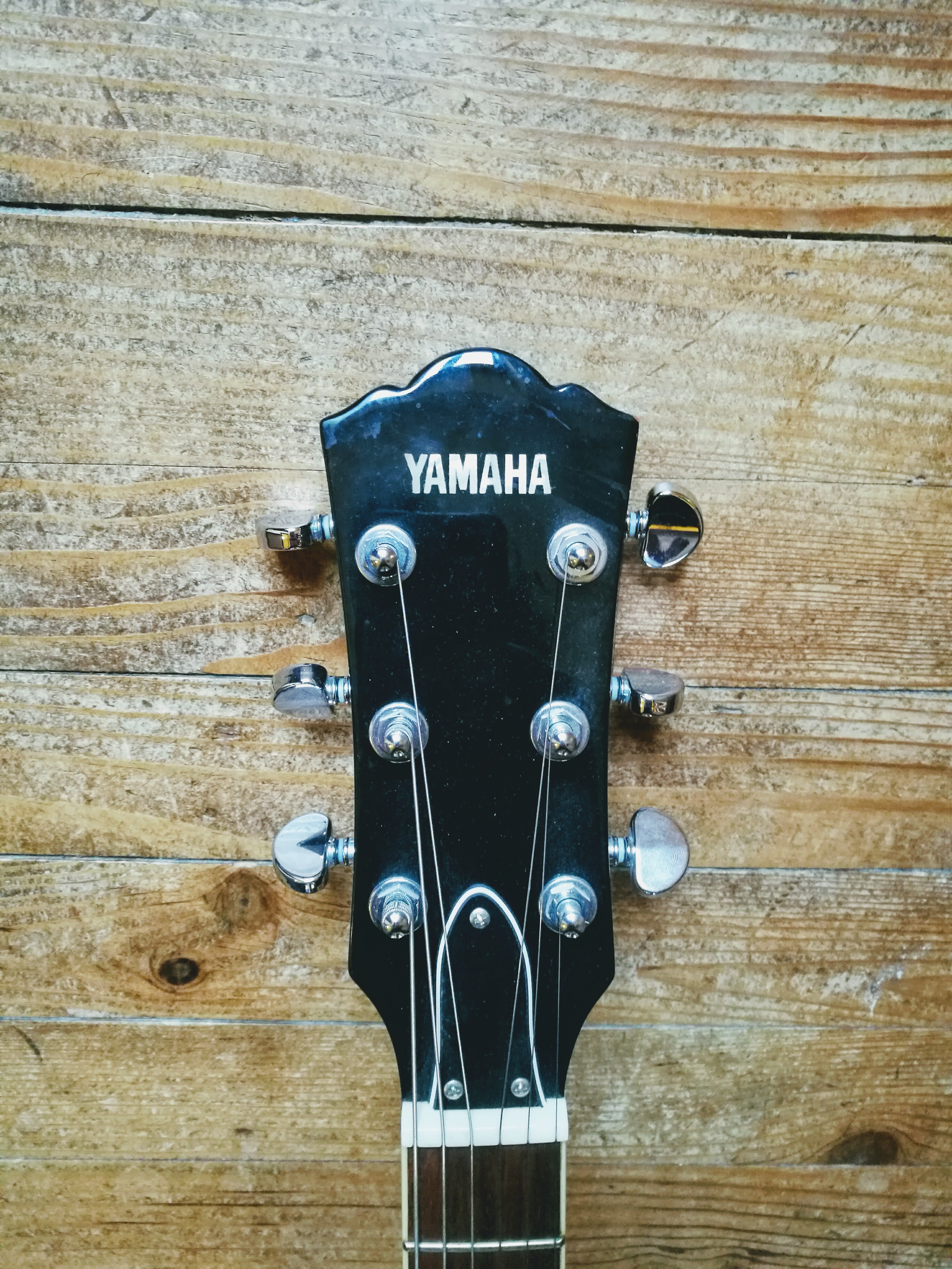 SA503 TVL - Yamaha SA503 TVL - Audiofanzine