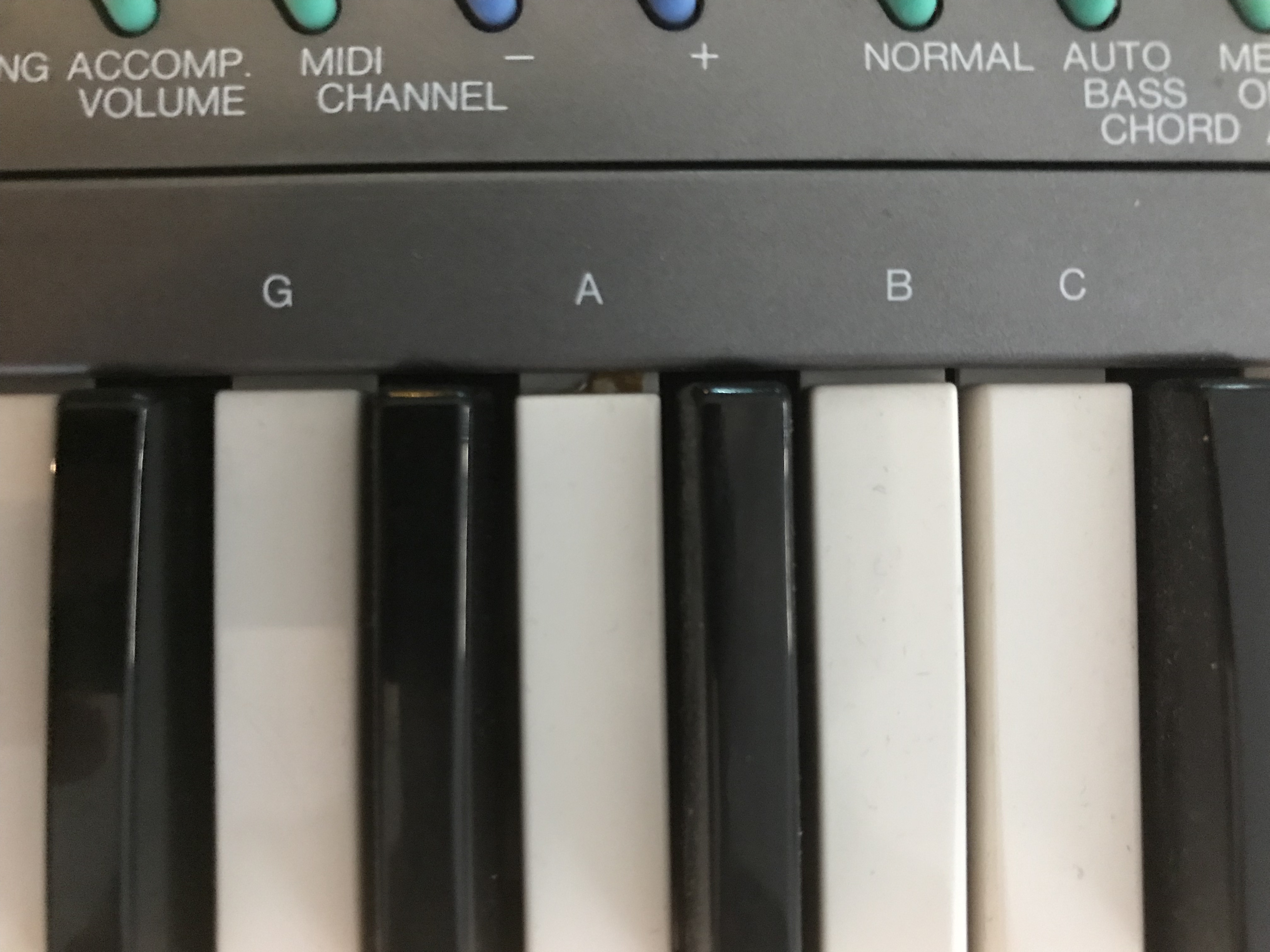 Yamaha PSR-125 tastiera elettronica | Tastiere Yamaha Yamaha PSR-125 tastiera elettronica | Tastiere Yamaha