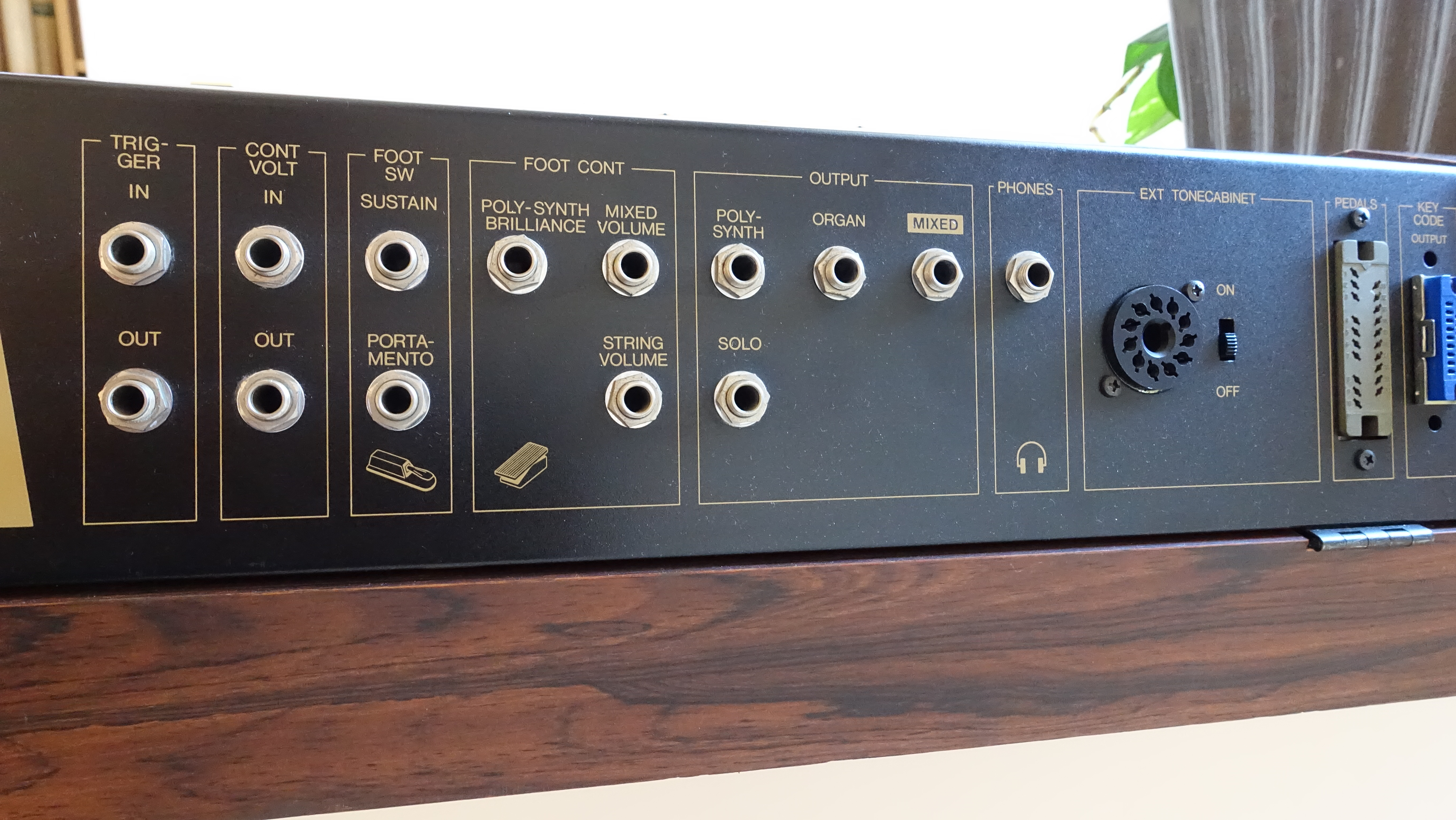 Yamaha SK30 image (1846658) Audiofanzine