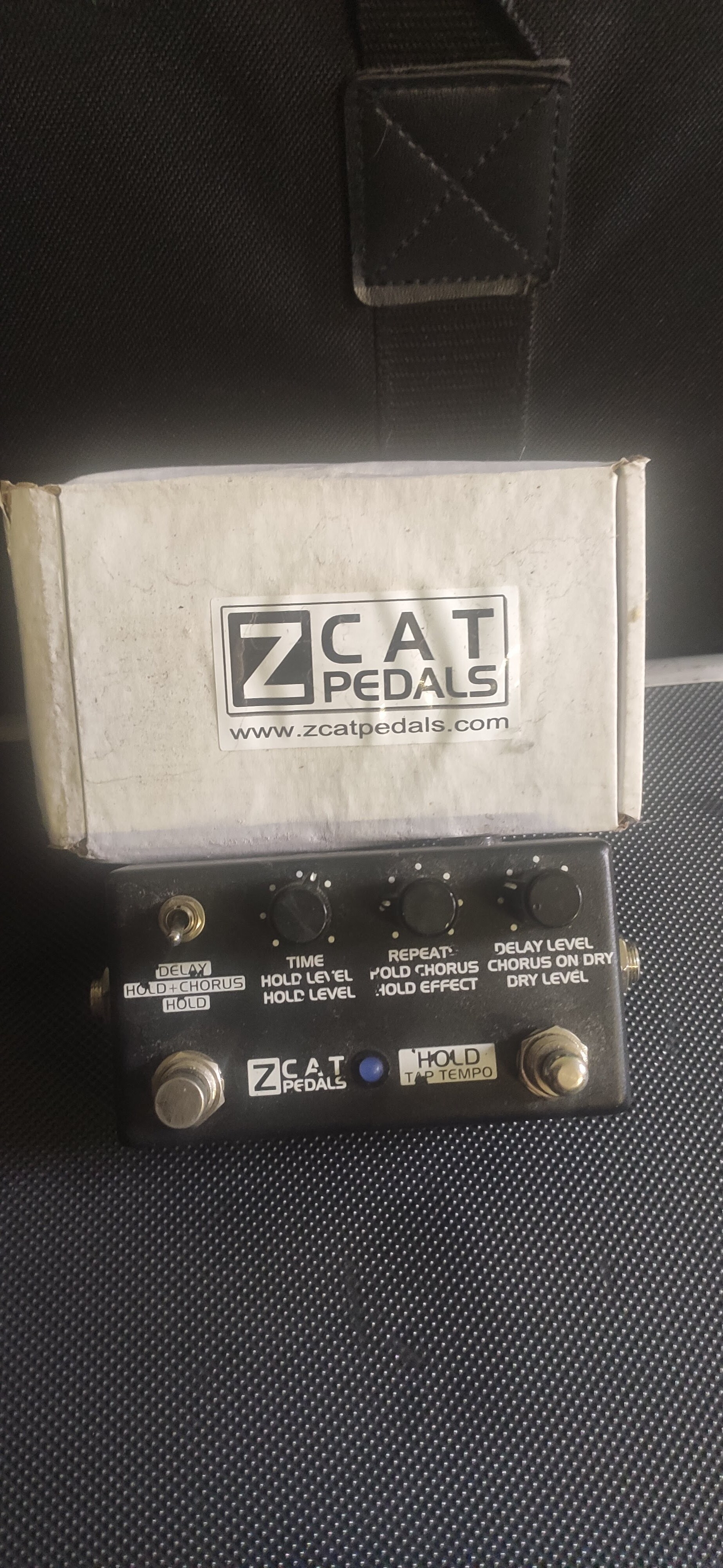 Hold - Delay - Chorus - Z.Cat Hold - Delay - Chorus - Audiofanzine