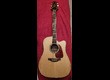 TAKAMINE GD71 CE (2)