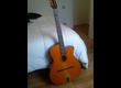 Aria Guitars M.M 20