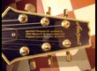 Aria Guitars Pro II TA-60