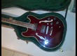 Aria Guitars Pro II TA-40