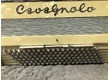 cavagnolo-accordeon-3-4111984