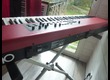 Clavia Nord Piano (85868)