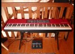 Clavia Nord Piano 2 (50111)