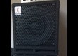 Eden Amplification EX110