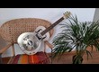 Gretsch G9201 "Honey Dipper" Metal Resonator Guitar