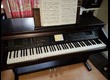 Kawai CP150