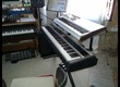 Physis Piano H1 (96696)