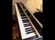 Physis Piano H1 (55747)