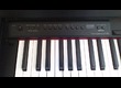 Roland Piano Numérique Roland F110