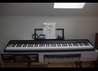 Roland Go:Piano 88