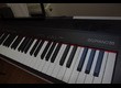 Roland Go:Piano 88