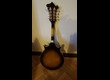 mandoline sigma sm 2237369