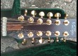 Vintage VE2000GG-12 Gordon Giltrap Signature 12 cordes
