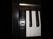 Yamaha Clavinova CLP-220