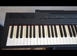 Yamaha P-115