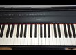 Yamaha P-115