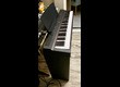 Yamaha P-121 Digital Piano (12016)