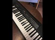 Yamaha P-80