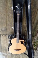 Basse électro-acoustique Furch B40 - 840 €