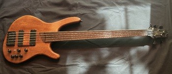  Vds CORT fretless 5 cordes - 450 €