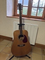 Guitare acoustique Cort Earth 200 - 310 €