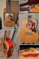 Gibson Dove Custom Shop - 2 700 €