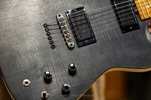 Ligérie Sauvignon Grand Cru - guitare made in France - 2 500 €