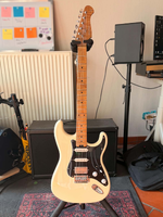 Harley Benton ST Modern Plus - 250 €