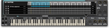 iZotope iris