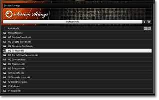 Native Instruments Session Strings