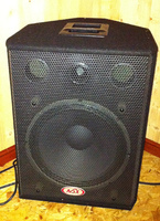 Paire d'enceintes NSX - 200 €
