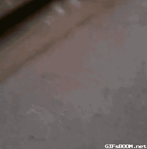 1912578.gif