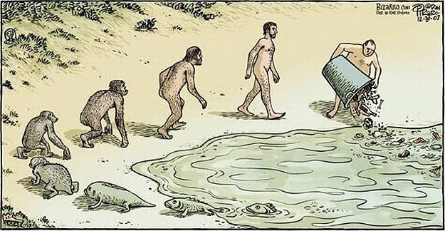 The-Evolution-Of-Man-Illustrations