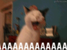 Yelling cat