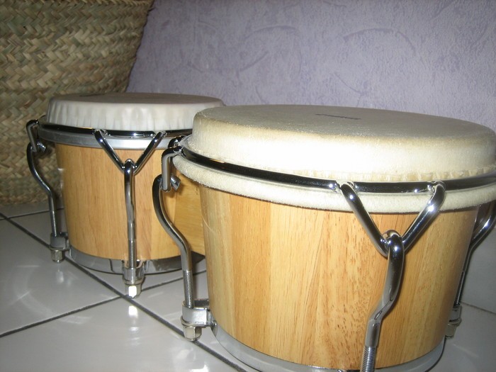 bongo 2.JPG