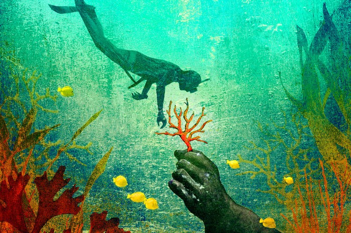 dessin_aleale_-_peche_sous-marine_-_2018 dessin_aleale_-_peche_sous-marine_-_2018